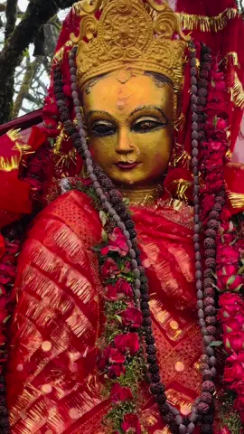 Jay aama  Pathibhara 🙏🙏🙏🙏❤️#fyp #goviral #iataharimuser #ktm #itaharimuser #patgibharamatataplejung #2081-5-30