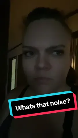 Do you hear that? Theres a dang cricket #cricket #texas #whatsthatnoise #critter #bugtok #quiet 