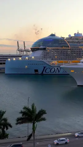 Two Giants 😍😍 #crruises #cruiseships #iconoftheseas #mscseascape #miami #portofmiami #cruisetok2024 