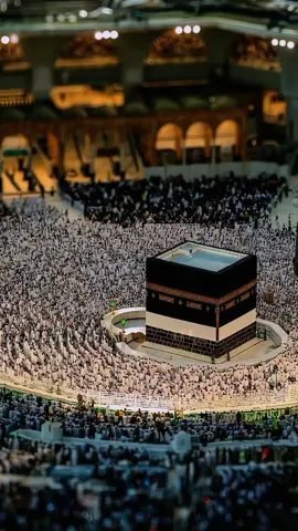 qalbun bilhaqqi 🤍😻#viral #creatorsearchinsight #Nasheed #islam #fyp #makkah #team7bro #allah #jummamubarak 