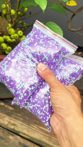 Combo phân giúp cây sai hoa sai quả #toanlamvuonbonsai #phanbongiupcaysaiqua 