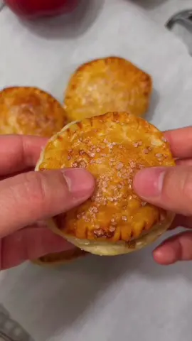 Mini apple pie. Small batch for when the cravings hit.                    #pie #pies #apples #baking #Recipe #applepie 