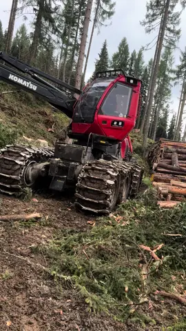 Molto brutale Grüße ausn Woid mit mein neuen Lied Timberjack! 🤠 Am Freitag um 19 Uhr kimmt is Musikvideo!🤠  #florianandreas #timberjack #holzfäller #holztransport #waldarbeiter #lumberjack 