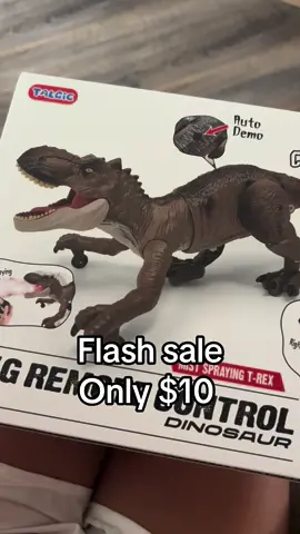 The perfect Christmas present for kids that love dinosaurs 🦖 #remotecontroldinosaur #dinosaurs #christmaspresents #ideas #fyp #flashsale #mist 