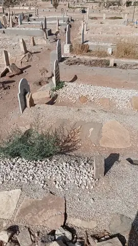 #ربي يرحمك يا ميمتي 