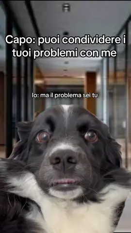 #CapCut #meme #memecut #workmemes #memelavoro #capo #manager #foryoupagе #perte #fypシ゚ 