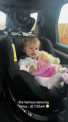 Shout out auntie & uncle for this one 🖕🏼🤣🤣🤣🤣  #toddlersoftiktok #twerkingllama #momlife #mumsoftiktok #schoolrunmum 