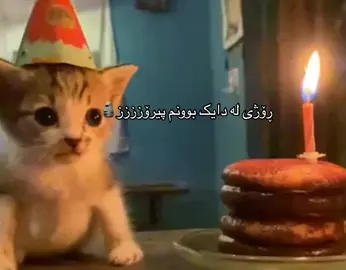 ئحمم🗿🗿بەسپۆنسەری پشیلەکەم🐈9/19 #LITTLEJK #LITTLEJJK #page #fyp #viral #fypシ゚viral #fypage #kurdishpost #fancy #bts #jungkook #kurdishpov #kurdishpovs #pov #povs #september #19 #happybirthday #birthdaygirl #cake #me 