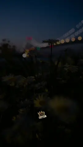 Nenito Vargas - Mariposa Seductora #nenitovargas #plumasnegras #gildacardenas #tipico #tipicazocarajo #musica #tipiqueros #adictosaltipicos507 #amantesaltipico #juventudtipiquera #amoraltipico 