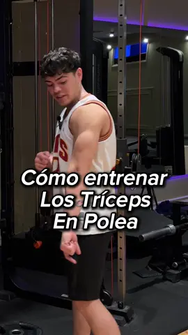 Cómo entrenar los Tríceps en Polea #triceps #tricepsworkout #entrenamiento #consejosfitness #fitnessargentina 