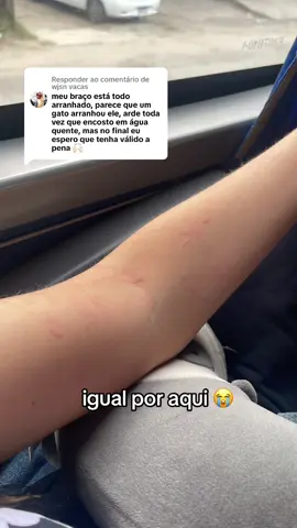 Respondendo a @wjsn vacas 