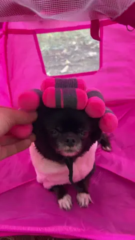 Camping Puddin ⛺️❤️