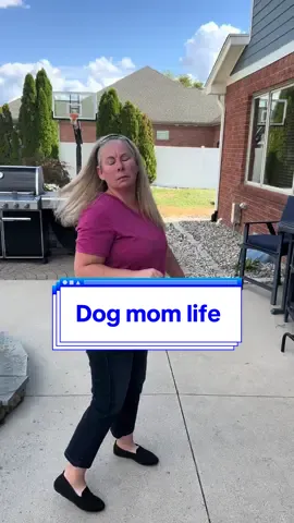 Never fails, every time!  I have learned to make my shop videos with rhe dogs.  - - #doglife #dogmom #dogmomlife #makingtiktoks #dogsoftiktokviral #labradorretriever #goldenretriver #momtok 