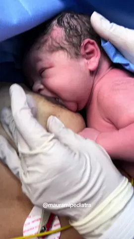 Lo maravilloso de una nueva vida 🥰 #reciennacido #apego #lactancia 