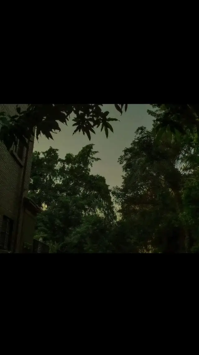 ليه؟  #عمرو_دياب 