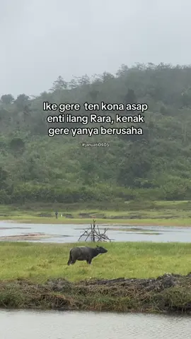@katagayo #katagayo #fypdong #yanyigayoviral #yanyigayo #musikgayo #trentiktok #tiktokviral #fyp #viraltiktok #gayo #takengon #tren #trendingvideo #katakatagayo #tanohgayo #danau #hujan #hujan🌧️ 