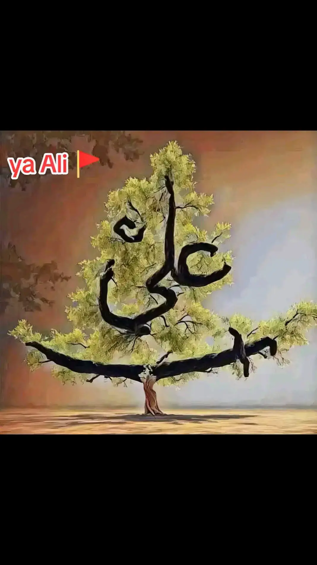 Ya Ali 🫀🫀🫀🫀🫀 Mashallah 🫀 Mashallah 🫀 Mashallah 🫀 Mashallah 🫀 Mashallah 🫀 Mashallah 🫀