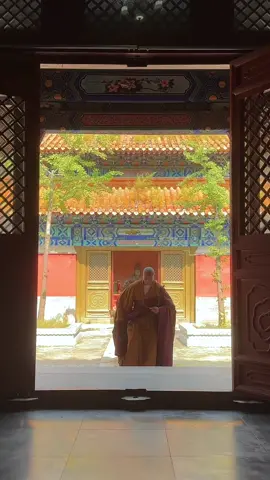 Buddha will bless you.Wishing you all your dreams come true and happiness every day!#shaolin #Monk #foruyou #shaolintemple #buddha #dreamscometrue #lucky 