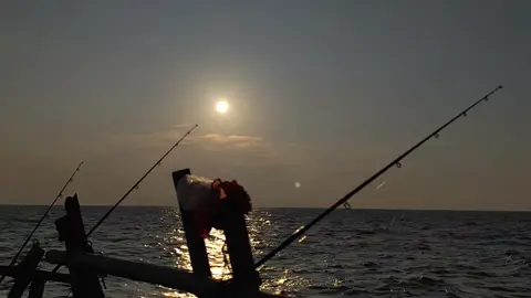 ikan hanyalah bonus - #cinematic #mancing #bagan #bagantanjungkait #fyp #foryou #foryoupage #viral #film #strike #senja 
