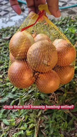 bawang bombay 1kg #bawangbombay 