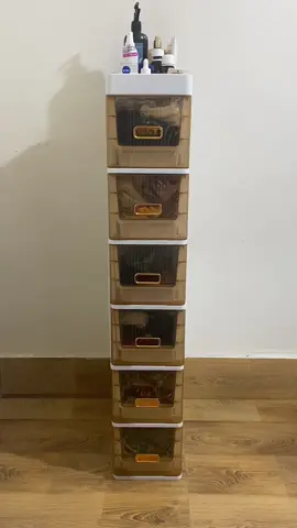 Tủ Để Đồ Góc Hẹp Nhựa PP Cao Cấp#giadungtienich #xuhuong 