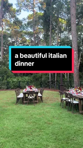 An Italian dinner party paired with only the best wine 🍅🍽️🍷🍃🌹 #italianfood #italianwedding #italianwines #napavalley #italian #DinnerIdeas #dinnerpartydecor #dinnerpartyinspo 
