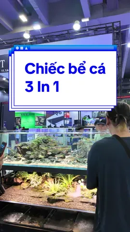 Chiếc bể cá Biotope kết hợp nhiều phong cách cực hay #thuysinh #cacanh #thuysinh4u #biotope 