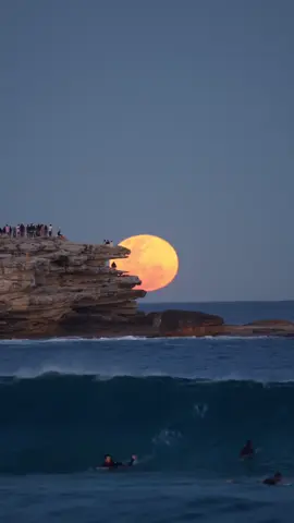 Swooning over this Sydney supermoon ❤️ These lucky surfers got some extra waves in this week thanks to the giant supermoon that lit up the skies around Warrane (#Sydney) 🌕 This sight reminded us just how special our sparkling harbour city really is, what a beauty 🥰  🎥: @Issy 📍: Warrane (@Sydney), @New South Wales  #SeeAustralia #ComeAndSayGday #FeelNSW #FeelNewSydney #Travel #TravelTok #BucketList #SuperMoon  ID: Surfers catching waves in the foreground as a giant yellow moon peaks from behind a rocky cliff in the distance during the early evening.