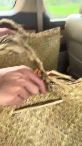 Có máu có tiền 🩸nay cây me 2-2 nha anh em #xuhuongtiktokk #thinhhanh #huycuchi #cpc3 #gabuom #gabuom 