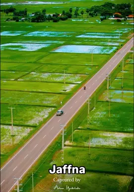 Jaffna 🏝️ beautifully Captured by @ashan_travelphotographer 💛 #jaffna #JaffnaNow #VisitJaffna #Jaffna #Srilanka #Island