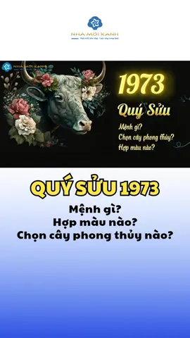 Người sinh năm 1973 cần lưu ý điều gì về mệnh và tuổi, chọn cây phong thủy nào cho phù hợp? #nhamoixanh #caynoithat #cayvanphong #caydeban #cayphongthuy #caytrangtri #caytrongnha #cayxanh #caycanh #fyp #xuhuong #viral #thuecay #thuecayvanphong #thuecaynoithat #quysuu1973 #quysuu #tuoisuu