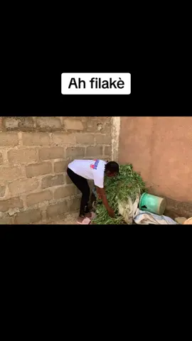 coulibaly et filakè#comedyvideo #humour 