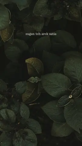 sugan teh arek satia... #storysunda #lagusunda #liriksunda #asihsaliwat #nazminadia #sahacik #CapCut 