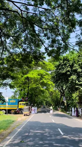 মির্জাপুর আদর্শ মহিলা ডিগ্রী কলেজ, খাজুরা,যশোর#foryou #habiburvi22 