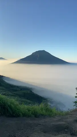 tuuhhh liaaatt🥹  #mentahan #mentahanvideo #bahanswmu #sw #fypシ゚viral #fypage #story #storywa #pendaki #pendakiindonesia #tektok #garung #wonosobo #wonosobozone #gunungkembangvialengkong #fyp 