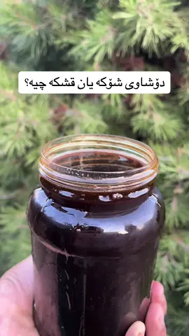 دۆشاوی قشکە یان شۆکە چیە بۆ داواکردن نامە بنێرن :ناونیشان سلێمانی مجیدبەگ بەرامبەر مزگەوتی شارباژێڕ پشت مەرکەزی ئەزمەڕ  #imravo✅ #explore #fypシ #copylink #slemani #foruyou #viral #coment #follow 