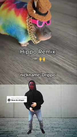 Replying to @Rylan Drippo + Phonk feels like a vibe…🦛😎 @Doctor Waffle #hippo #phonk_music #viralremix #ravetok #catchysong #kidsmusic 
