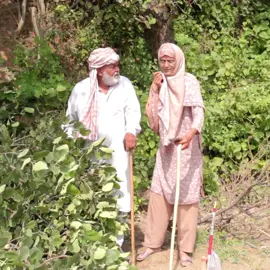 Dadi Bakhto Dada Shero  #fyp #funnyvideos #village 