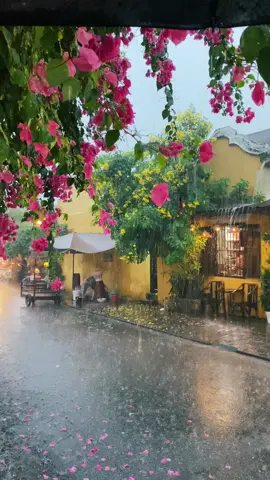 Mưa cũng đẹp đến thế #hoian #reviewhoian 