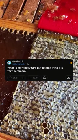 #reddit #redditstories #redditreadings #redditstories #aksreddit 