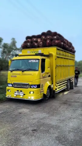 truk impian🥶.  ....  .  .  .  .  .  .  .  ...  .  .  . #trukjambistyle #trukjambi #jambipride #truksawitkece #truksawitganteng #canterganteng #truksawitjambi #trukmaniaindonesia #trukstylejambi #trukjambi #mobiltruk #truksawit 