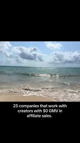 All these companies work with creators with $0GMV.  Save this video for my part 2!  #tiktokshop #creator #fyp 