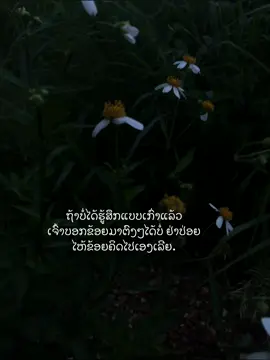 ..#ຄວາມຮູ້ສຶກ #ຟິດສິໄອສັສສສ #foryou #fypシ 