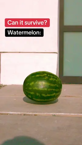 What can survive the ground? 🤔 #slowmo #satisfying 