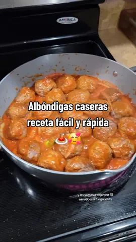 Albóndigas caseras, receta rápida y fácil 🍝. El crédito es todo para @Aniadys la que me inspira a ponerme más creativa en la cocina 🥰. #creatorsearchinsights #spaghettiandmeatballs #homemademeatballs #meatballsrecipe #pastaandmeatballs #albondigas  spaghetti and meatballs  pasta and meatballs  homemade meatballs  meatballs recipe  how to make meatballs 
