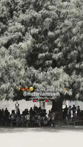 شوق شديد للخريف🍁🍂🥹 ابداعات الفنانه هدى عربي🧡🫶🔥 من تسجيلات علي ميديا سنتر @Ali Media Center 🫶🧡🔥#viral #viralvideo #sudanese_tiktok #sudanese #sudanese_tiktokمشاهير #sudanese_tiktok_🇸🇩 #sudanese_songs #sudanese_music #sudanese_vip #alimediacenter #ali_media_center #علي_ميديا_سنتر 