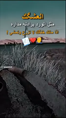 الطعنه التوجعك مو من بشر مكروه من ذاك العزيز الروحك اتريده 💔✌️#اليحبك لو سهم يتلكاك #