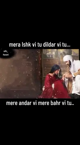 Kadi aa mil sawn yr wy ✨ 💫 🥀 # #noornoori #virel #foryoupage 🌹 ost #drama #raqsebismil 
