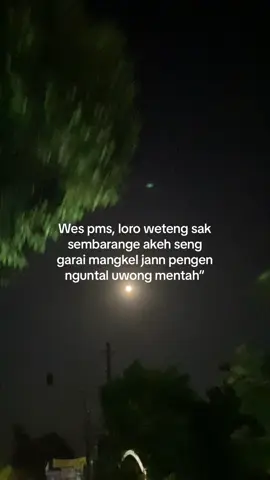 Onok ae rumasaku🥲#fyp #fypage #4upage #fypシ #masukberanda #zmn14🏴‍☠️ 