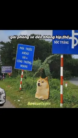 Đẹp trai #aligntmotion #capcut #youcut